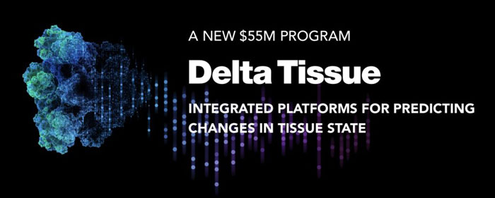 The Power Game to Control Everything: delta tissue