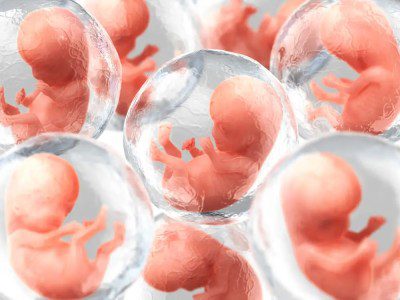 Israelsk selskap ønsker å dyrke “syntetiske” menneskelige embryoer for organhøsting